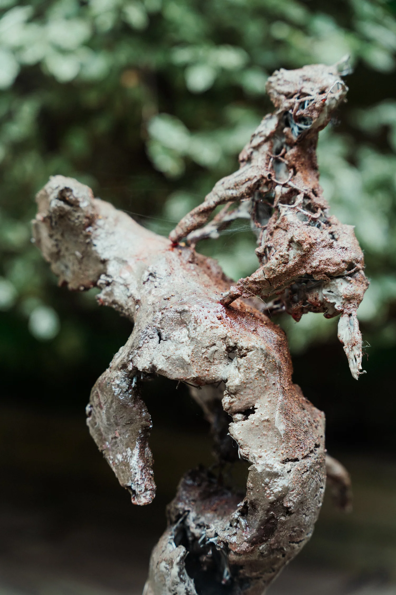 Bodyresemblance detail